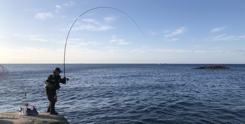 DENIOS デニオス (がまかつ) | marin no koike syndrome まりんのこ