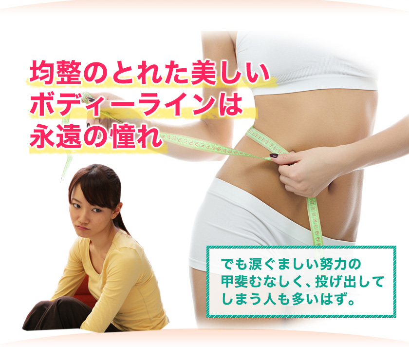 メタボシェイプDi 複合高周波EMSダイエット／トレーニング／筋力基礎