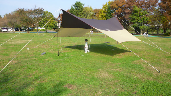 小川キャンパル フィールドタープ ヘキサST-もろもろキャンプ