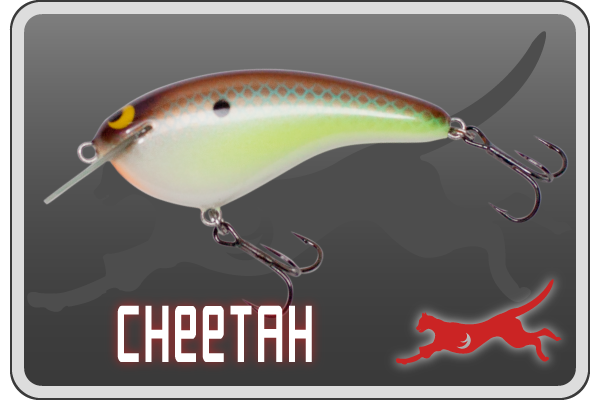 MPB LURES | MPB LURES -Monster Panic Bite-