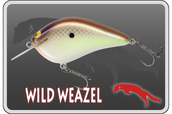 MPB LURES | MPB LURES -Monster Panic Bite-