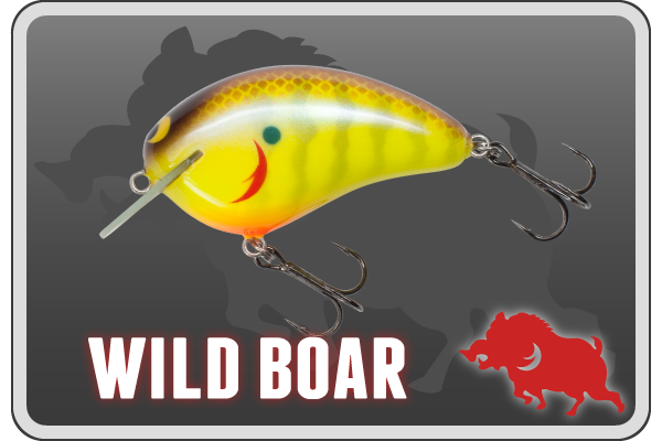 MPB LURES | MPB LURES -Monster Panic Bite-