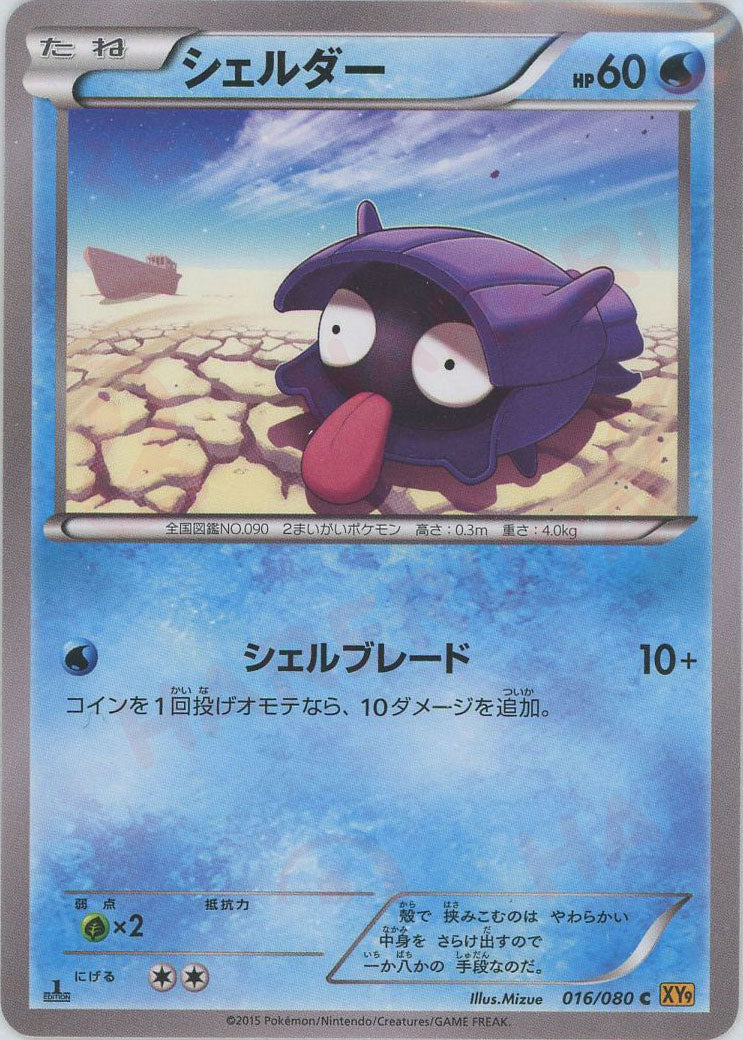 シェルダー(C){水}〈016/080〉[XY9] – 晴れる屋2 なんば店