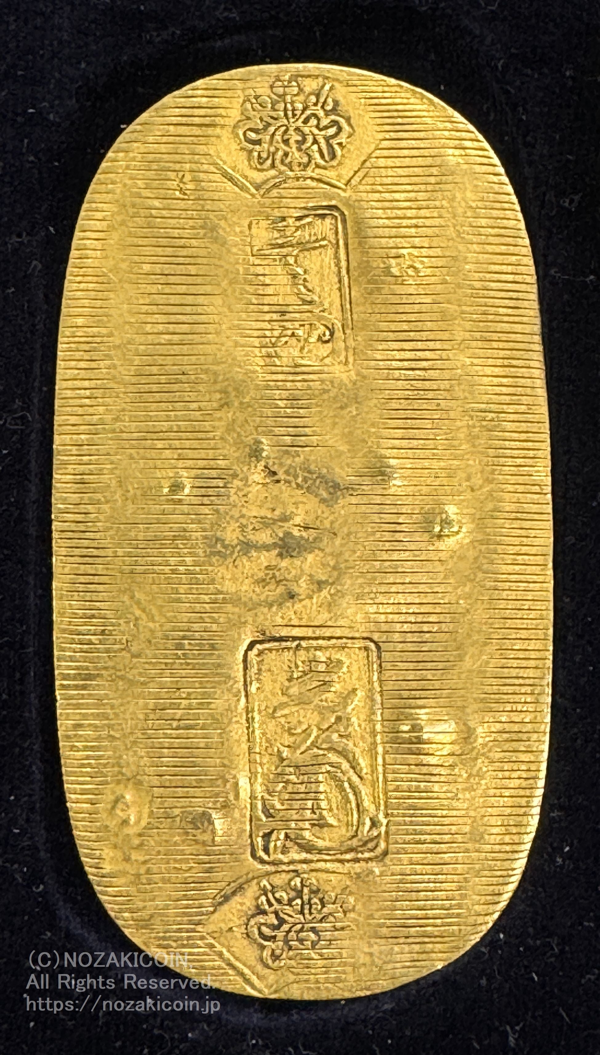 IMG_8882.jpg?v=1725428429