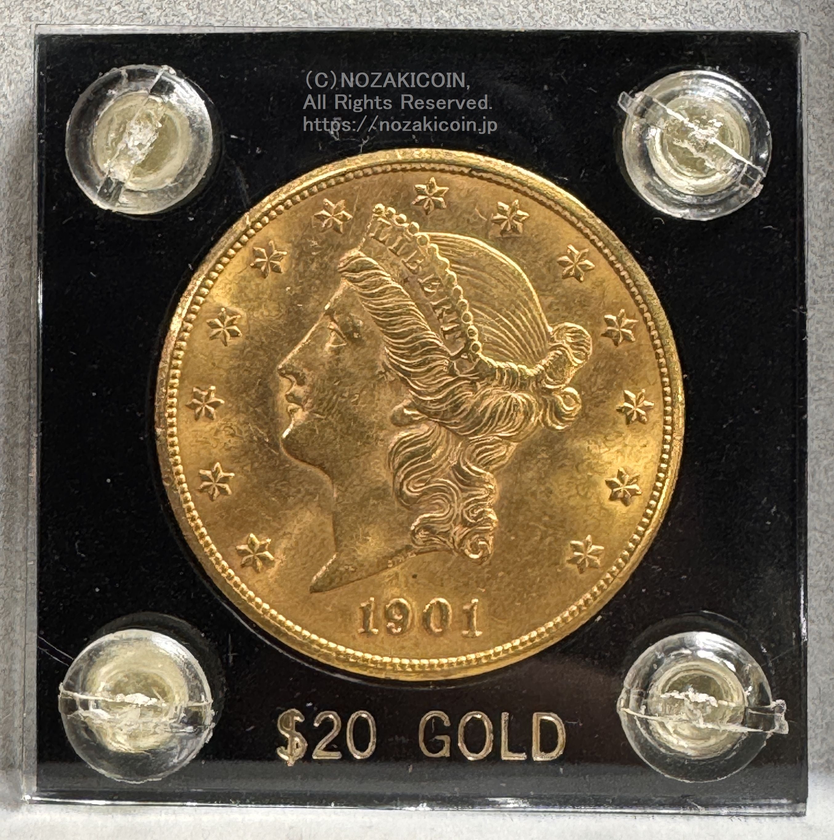 IMG_9590.jpg?v=1732266723