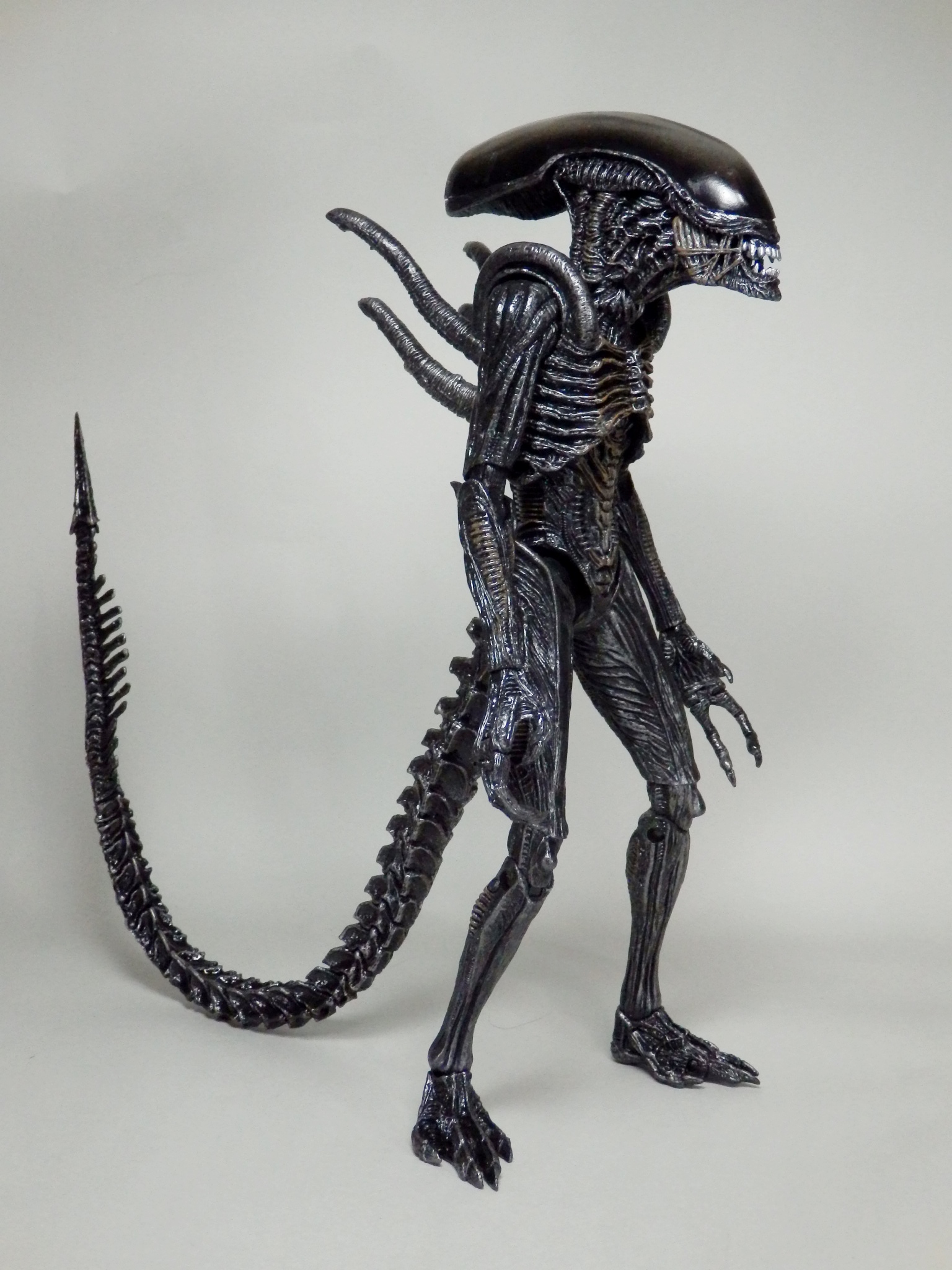 レビュー:NECA(ネカ) グリッド エイリアン AVPウォーリアー(7インチ