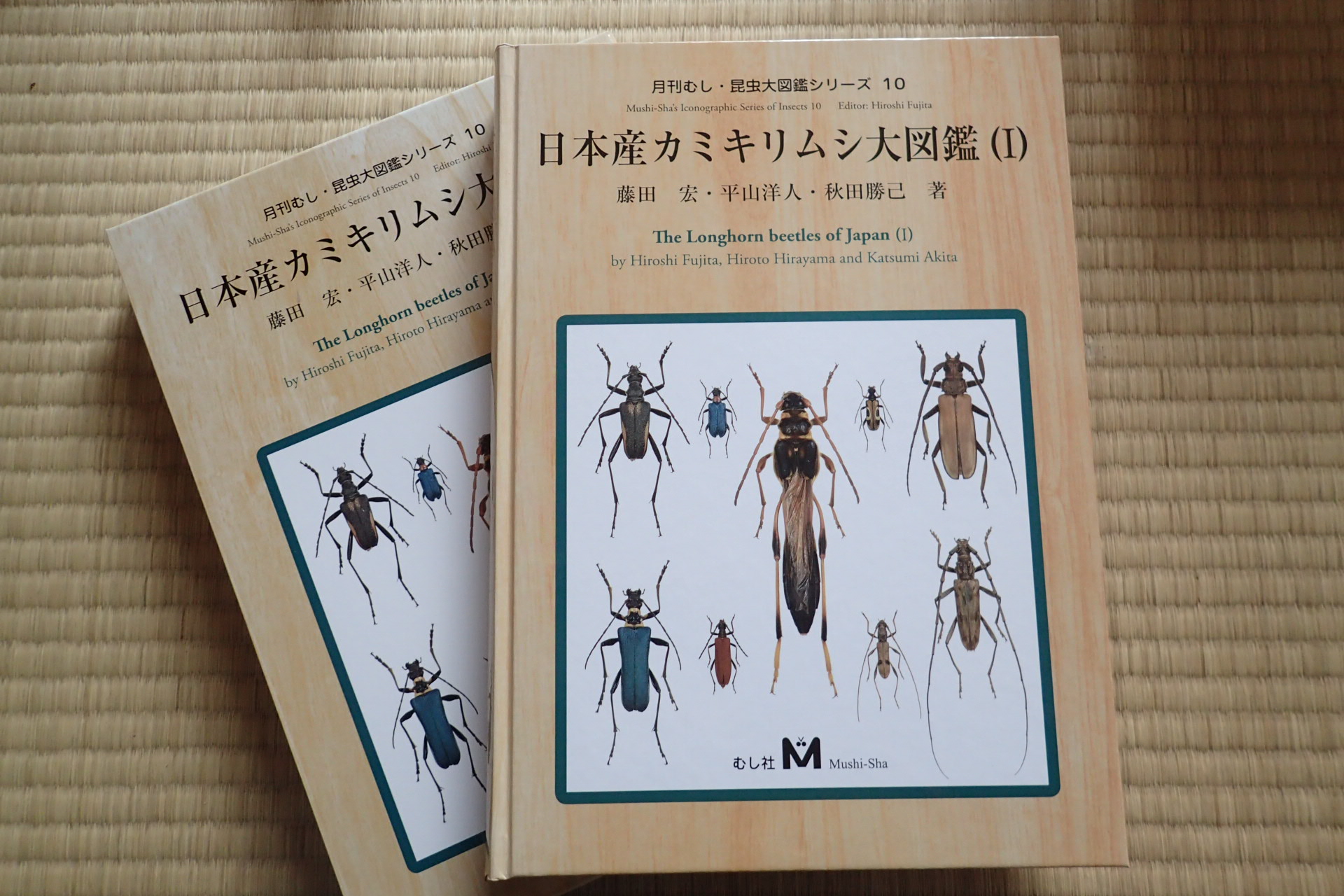 日本産カミキリムシ大図鑑（Ⅰ）発刊される（2018.12.30）