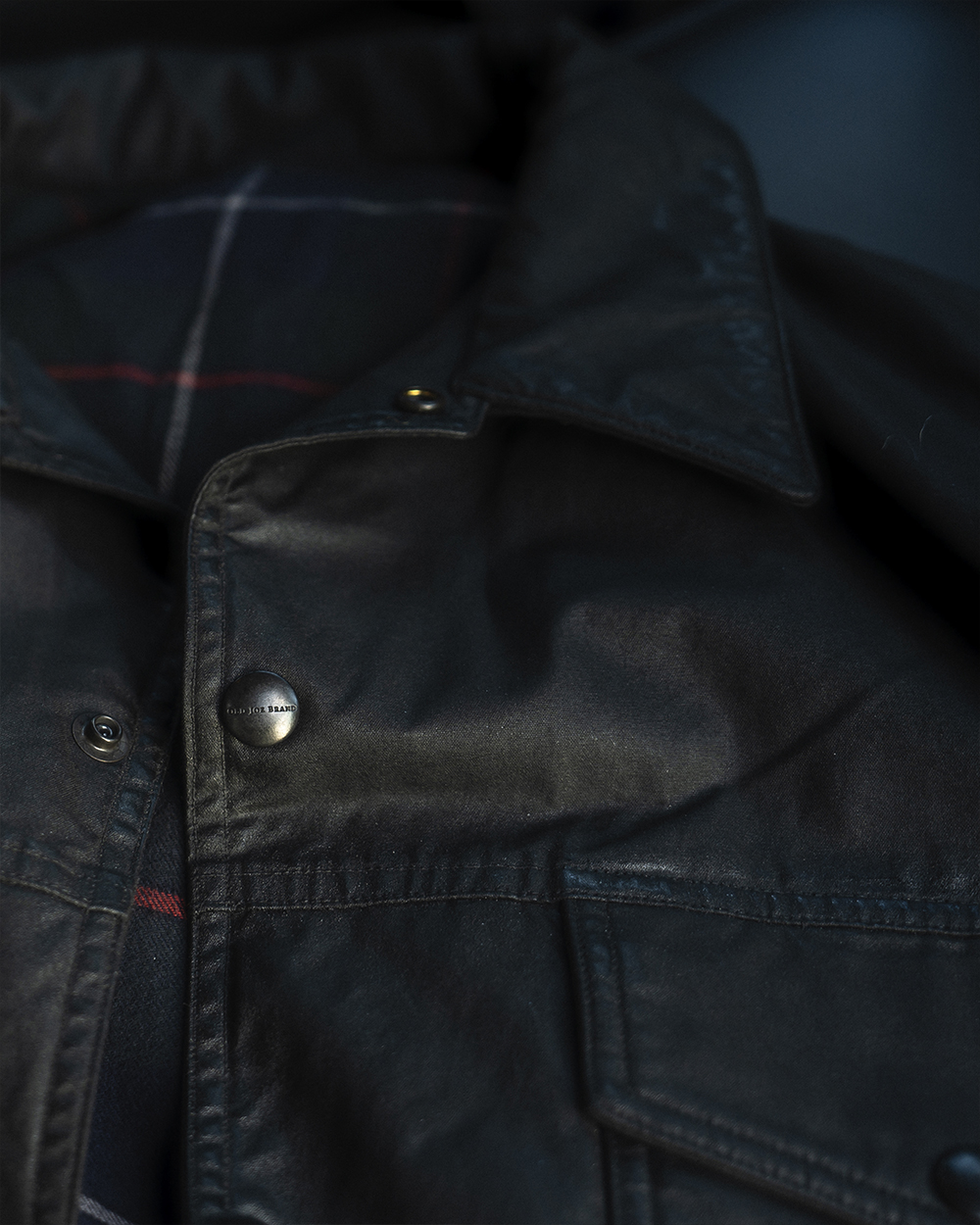 PATINA OILED | OLD JOE BRAND