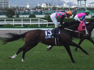 ダンツフレーム