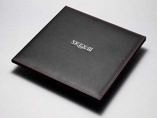 レコードやCDの静電気を取り除く帯電イレーサー「SK-EX3」 - AV Watch