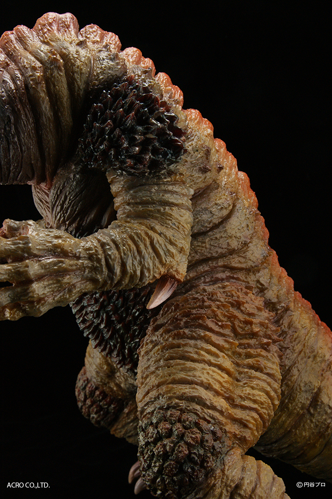 KRS×NIRASAWA ゴモラ | ACRO