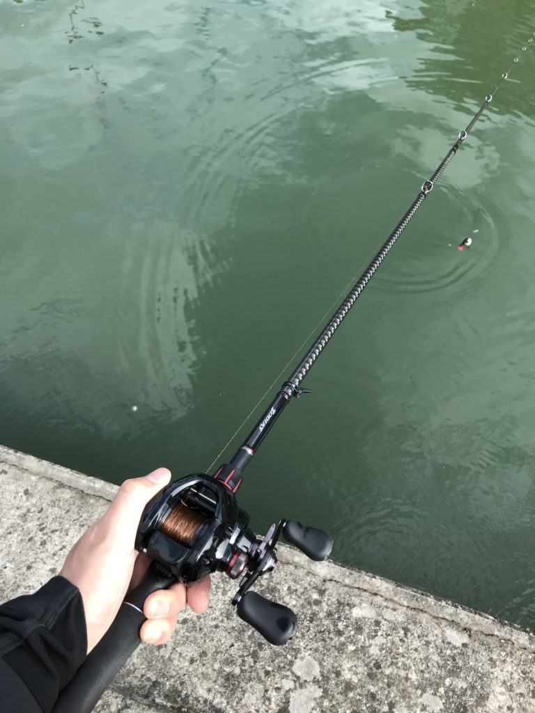 インプレ・レビュー】シマノ ゾディアス『268L-2 & 172H-2』正直これで