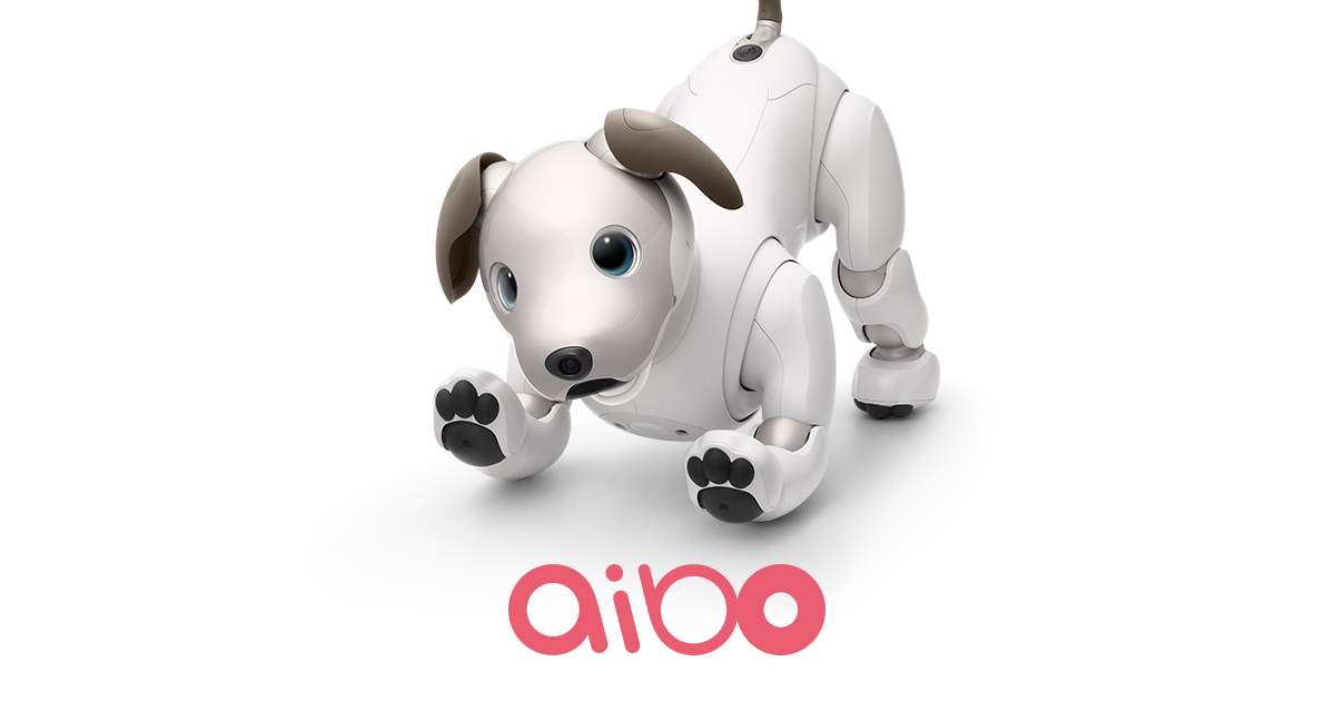 aibo きなこ エディション | aibo