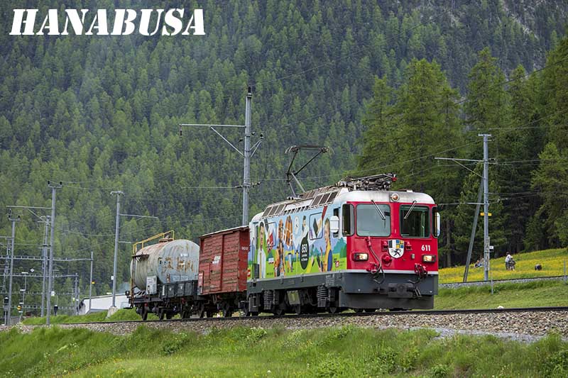 1／1 BEMOの世界で遊ぶ・・・・パレード編2: 「はなぶさ」に集まる