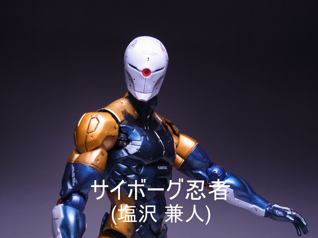 フィギュアレビュー[PLAY ARTS改]METAL GEAR SOLID サイボーグ忍者
