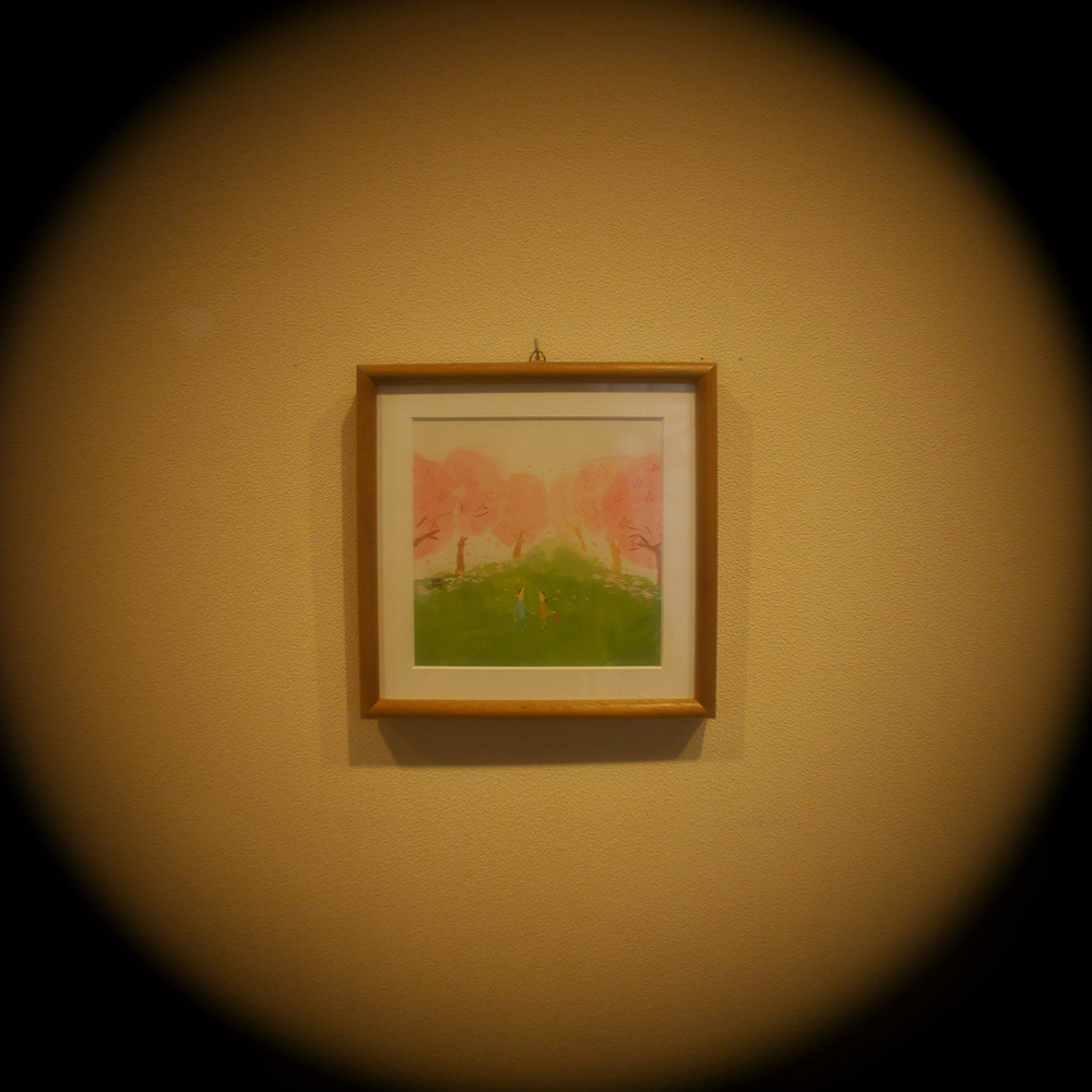 Cine Lens Gallery: Schneider Cinegon 10mm f1.8 （ Cマウント ）