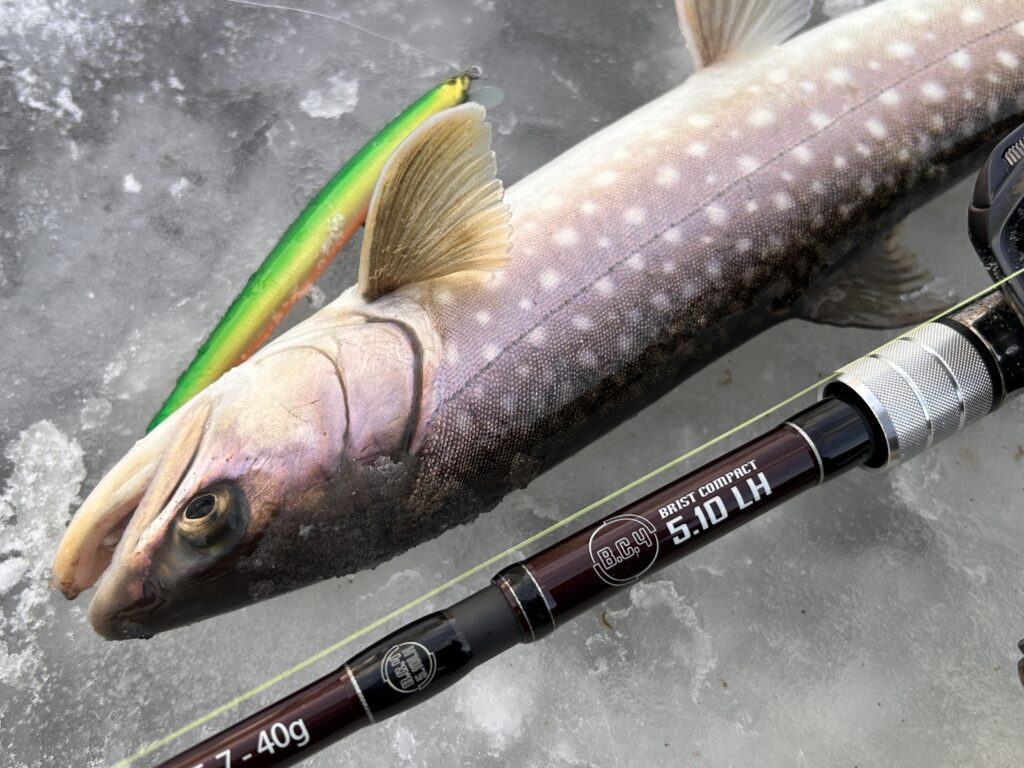 ヤマセ130F,正影110F桐龍】人気ルアー色々再入荷！ - 道東の釣りなら