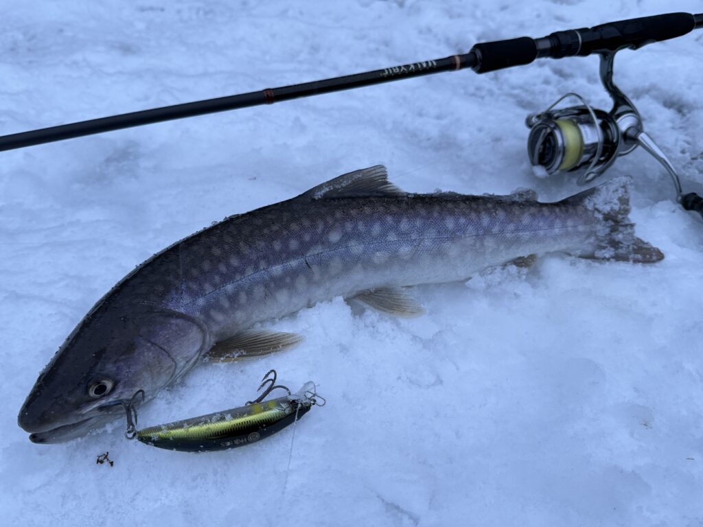 神楽88S】アメマスが好む魅惑のシンキングミノー。 - 道東の釣りなら