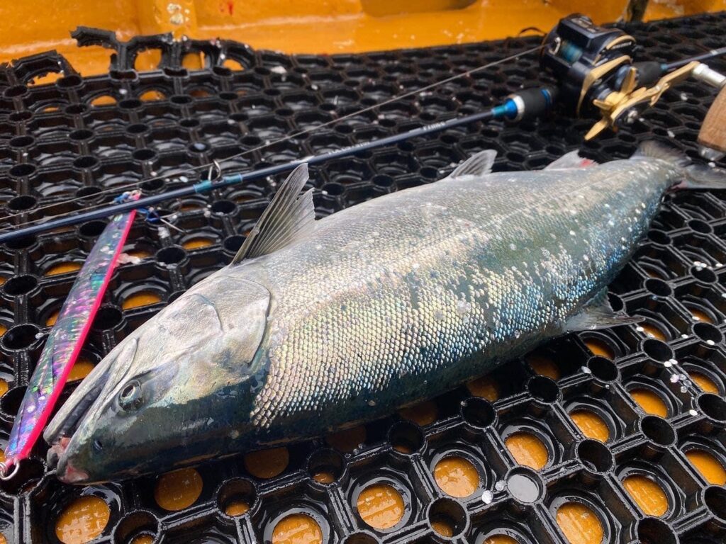 Sammys 猛者 MOSA+F 150g オリカラ販売方法について - 道東の釣りなら