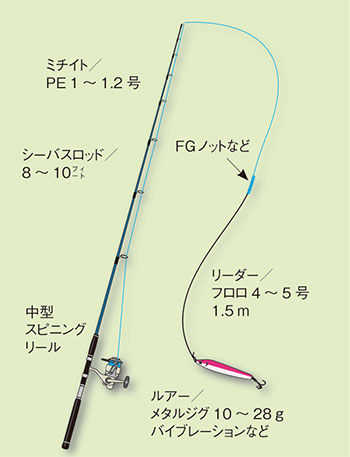 サワラ【鰆】釣りの仕掛け講座・海水編 | 房総爆釣通信