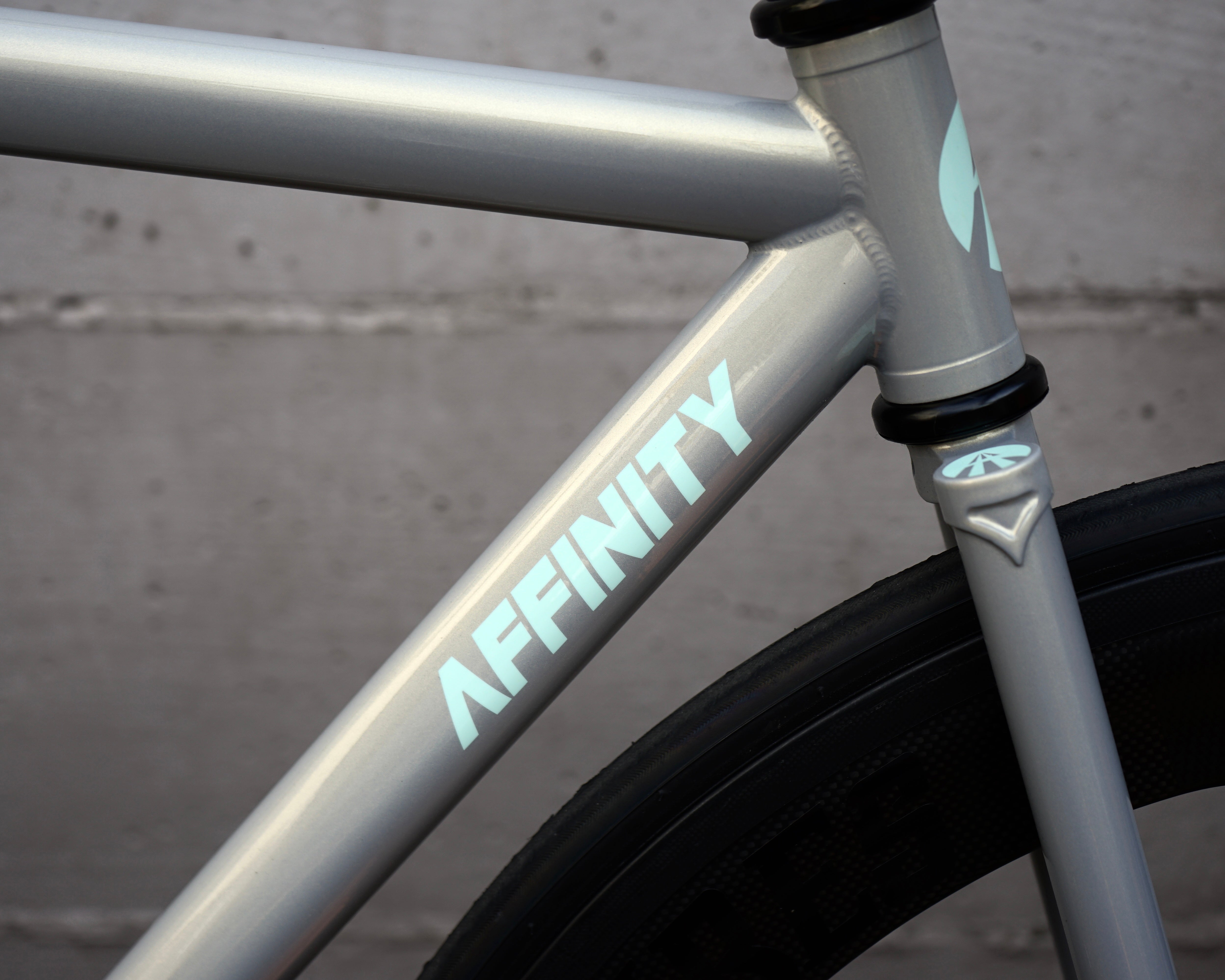 DSC03606.jpg?v=1711621623