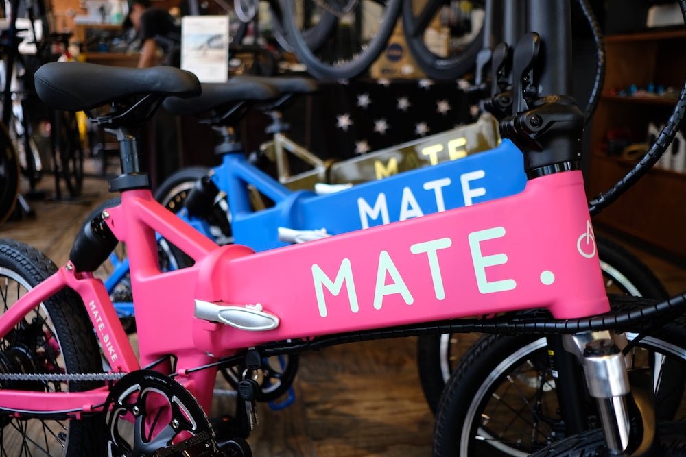 DSCF4115-9163542.jpg?v=1759570706