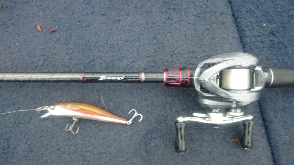 ZODIAS 166ML-G買ってみた 実釣編 - ID.GROPER
