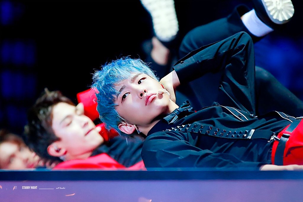 セブチ プロフィール。〜ホシ編〜 - Essays in Id(o)leness