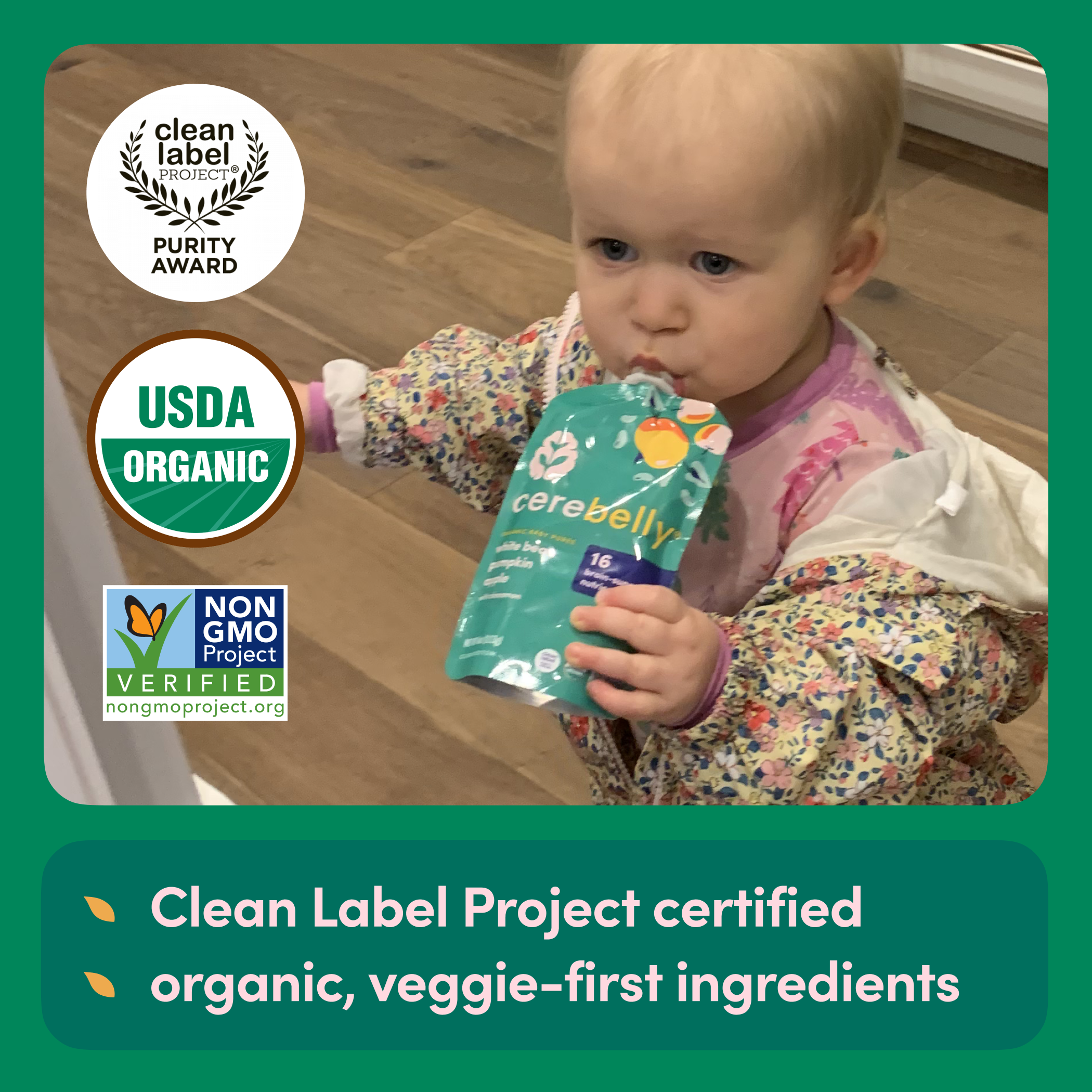 White Bean Pumpkin Apple Puree 6 Pack – Cerebelly