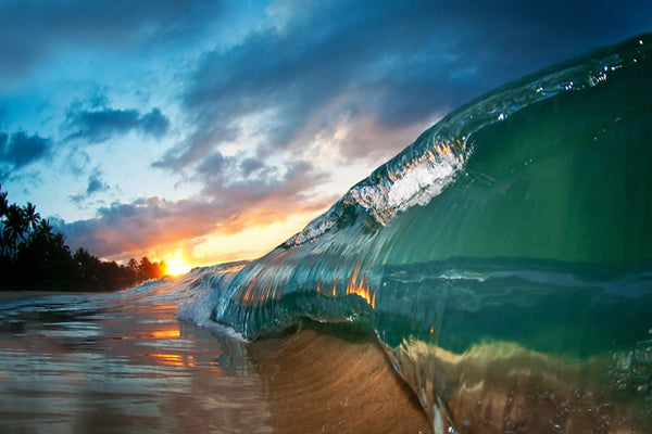 New Years Day - Clark Little Photography