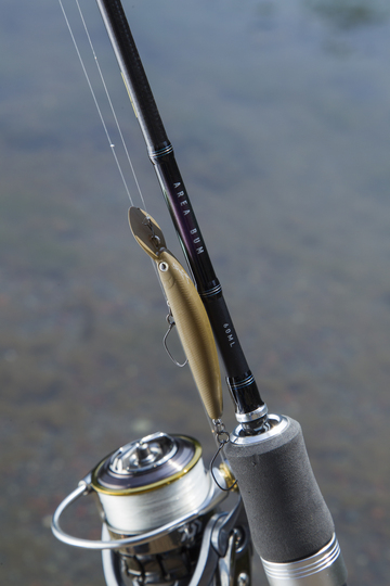 DAIWA TROUT