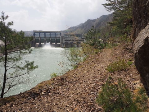 東北電力のダムカードを集めてきた - ダム便覧