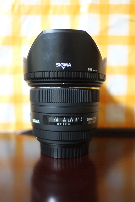 SIGMAの単焦点レンズ50mm F1.4 EX DG HSM | ディズニーと写真とカメラ日記