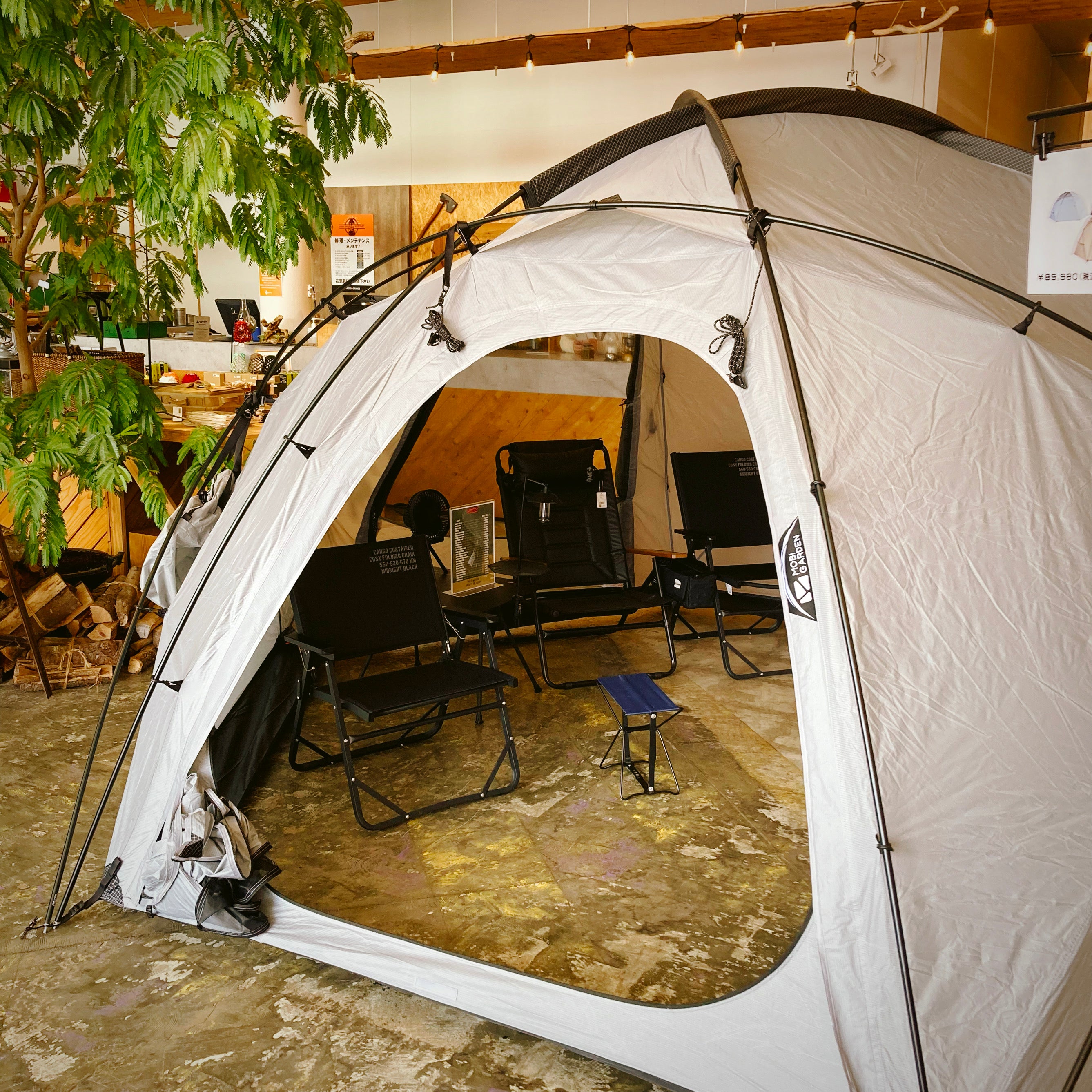 IMG_E2164.jpg?v=1747182713