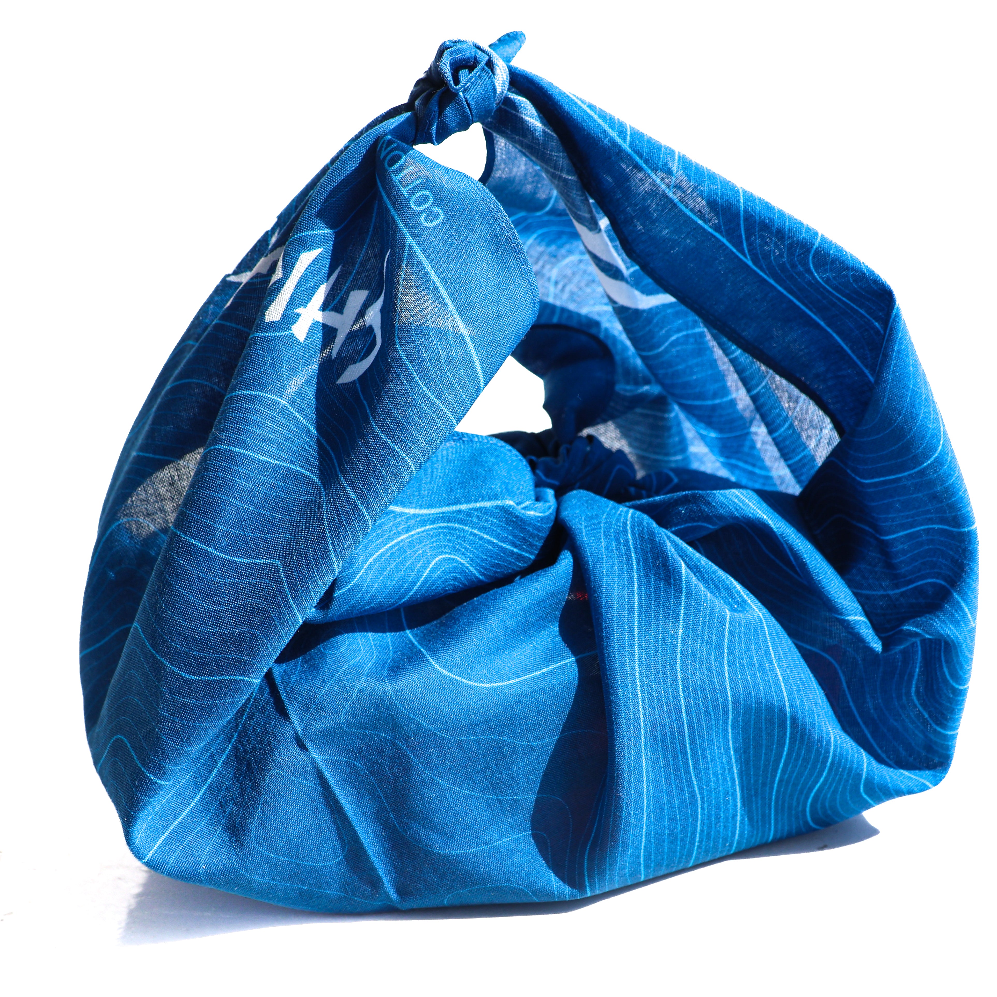 IMG_5321.jpg?v=1749210001