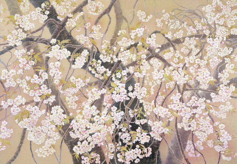 ☆桜・花・日本画 | よこおえいこ 日本画家 横尾英子・ブログ