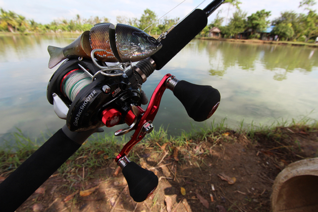 ピラルク実釣！アブガルシアのレボ ビッグシューターのパワーが凄い