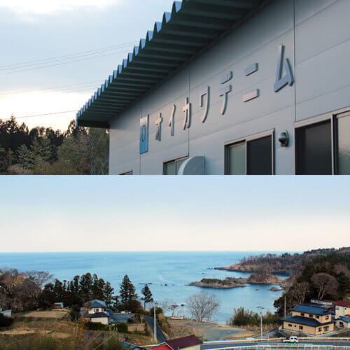 オイカワデニム】STUDIO ZEROとメカジキデニム - 逸品セレクション