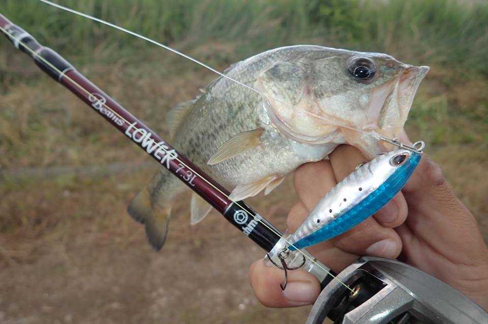 Beams LOWER 7.3Lについて - Fishman（フィッシュマン）