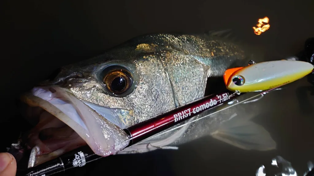 スタッフレポートリレー#1】「なぜベイトタックルなのか」AUX松野直人