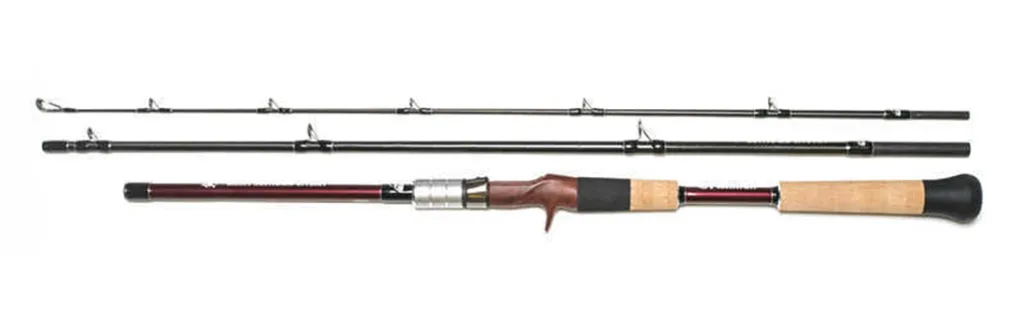 どっちのロッドが好きですか？本日6月10日は…2本まとめて「6.10XH」の