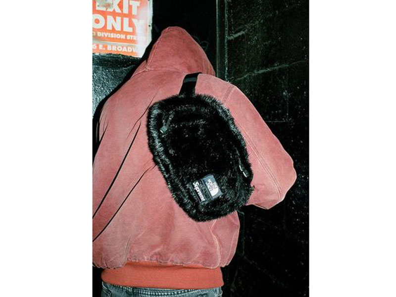 Supreme×THE NORTH FACE 'Faux Fur Waist Bag'フォックスファー