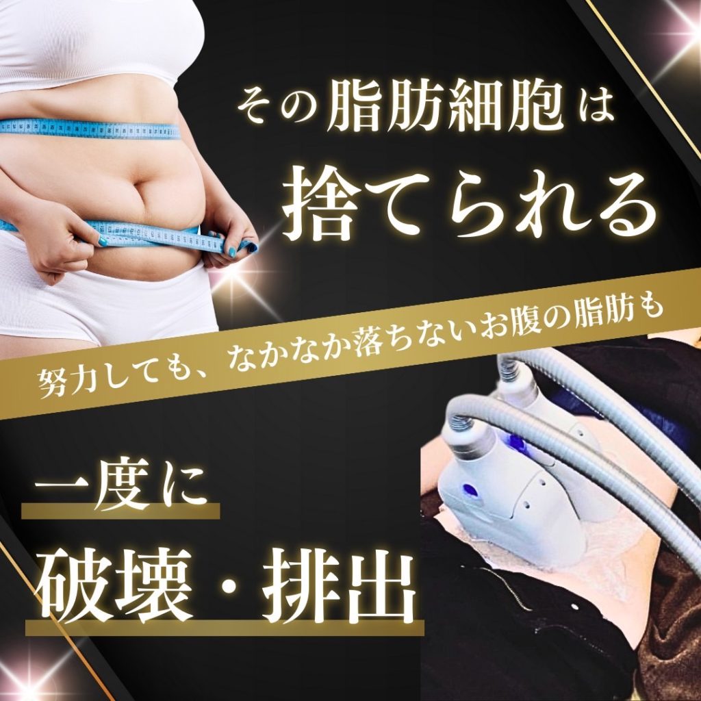 FROST SHAPE SALON – 脂肪冷却なら東京都台東区浅草のサロン「フロスト