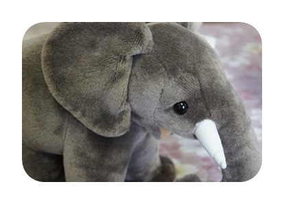 ケーセン ぞう（小） | 人形・ぬいぐるみ | 赤ちゃん・ドイツ 絵本と木