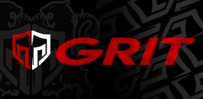 GRIT PUNCH & KICK MITTS パンチ キックミット 1セット | 競技別商品