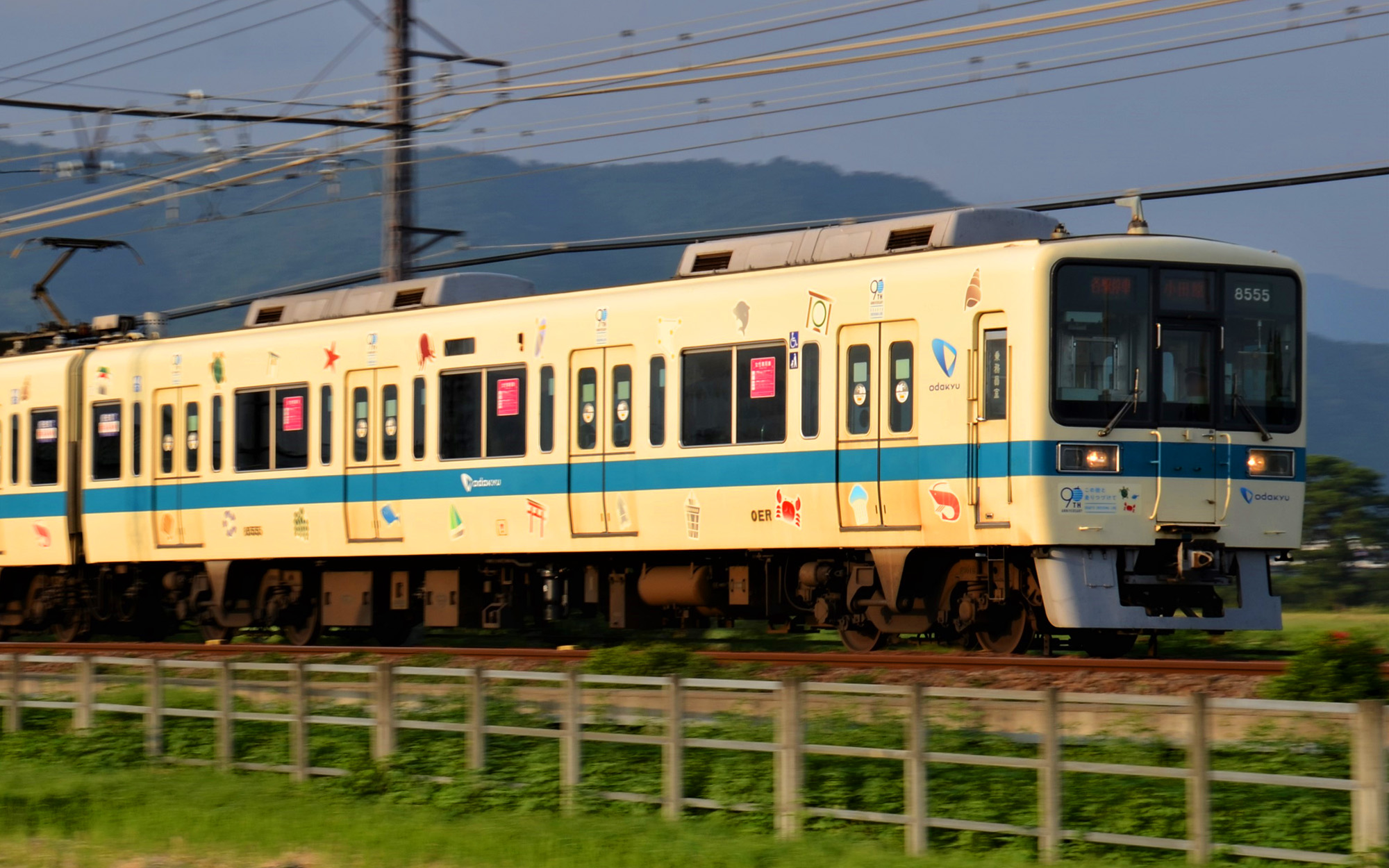 新製品紹介】小田急8000形（江ノ島線開業90周年記念トレイン）、（車体