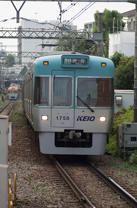 トキナー 60-120mm F2.8 AT-X120 を再評価する: ごっさん居眠り中