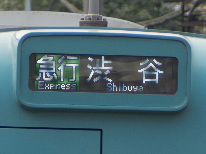 トキナー 60-120mm F2.8 AT-X120 を再評価する: ごっさん居眠り中