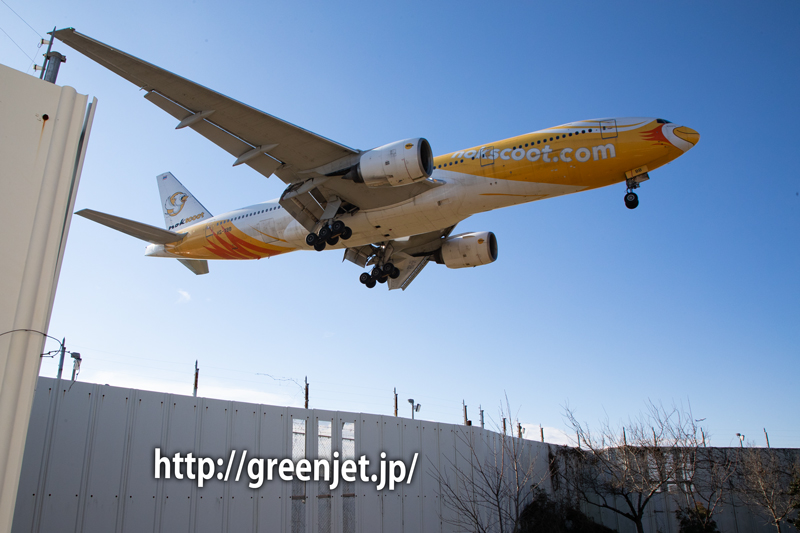 ノックスクートのB777を東峰神社前で！ | MGT Greenjet 飛行機撮影記