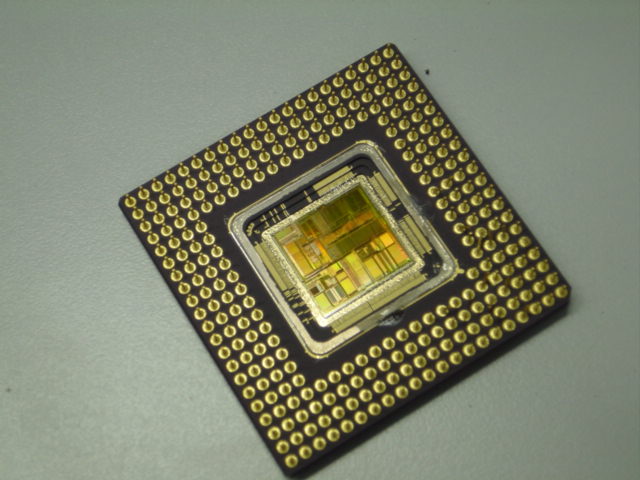 各種コレクション(そのスジ)